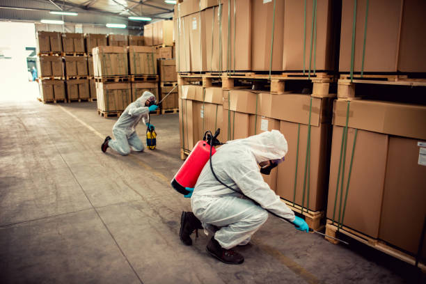 Best Residential Pest Control  in Lake Of The Woods, IL