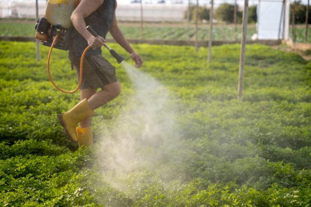 Pest Prevention Services in Lake Of The Woods, IL