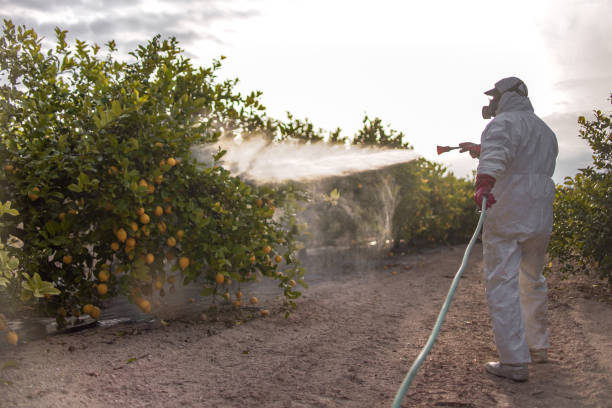 Best Flea Control Services  in Lake Of The Woods, IL