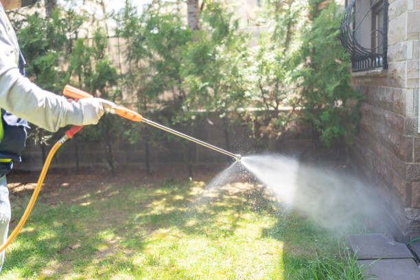 Reliable Lake Of The Woods, IL Pest Control Solutions