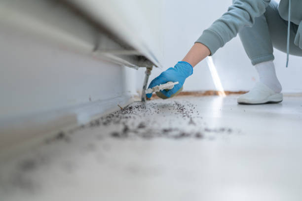 Best Emergency Pest Control  in Lake Of The Woods, IL