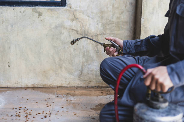 Best Termite Control Services  in Lake Of The Woods, IL
