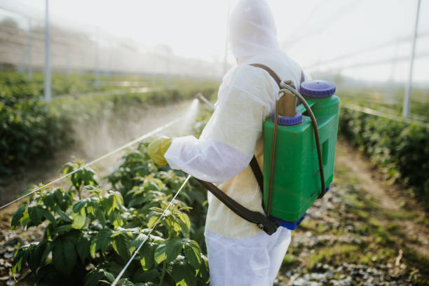Reliable Lake Of The Woods, IL Pest Control Solutions